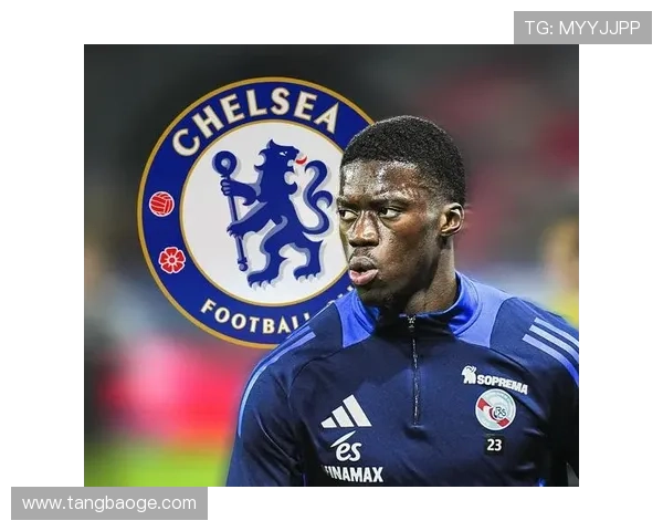 切尔西俱乐部新赛季引援曝光 多名新星加盟力求重返英超巅峰