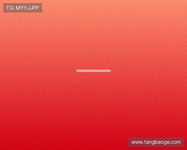 快船队新赛季阵容升级冲击总冠军目标成焦点分析