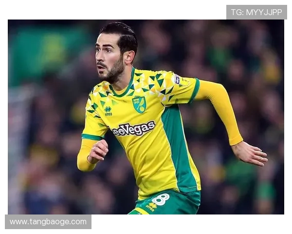 诺维奇俱乐部历史回顾与未来发展展望：从英超到欧洲赛场的挑战与机遇