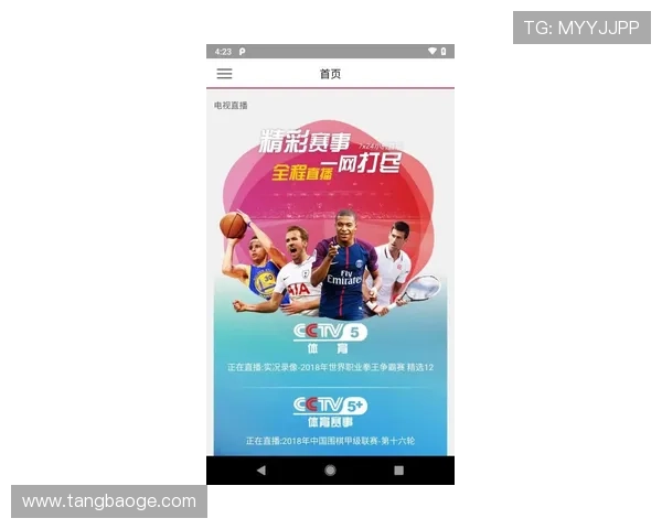 全球体育焦点：世界杯赛程、篮球明星动态与网球新兴力量全面解读