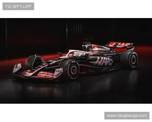 F1赛季激烈角逐持续升级：顶级车队与车手的竞争白热化