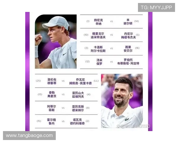 网球大满贯赛季精彩回顾与未来赛事预测，明星选手备战新一轮挑战