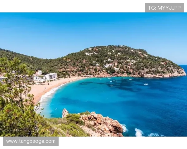 聚焦马略卡俱乐部的历史传承与现代竞技风采全景深度探索之旅纪实